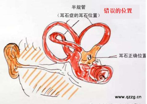 指南针乱转石质头骨—我差点在荒野里被自己吓死 指南针乱转石质头骨—我差点在荒野里被自己吓死