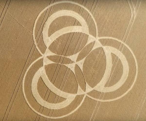 南海麦田怪圈丨神秘圆圈背后的真相大揭秘 南海麦田怪圈丨神秘圆圈背后的真相大揭秘