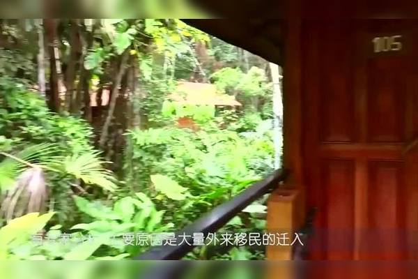 雨林深处的红粉：我见过的“镜像人”和那抹不该存在的红色