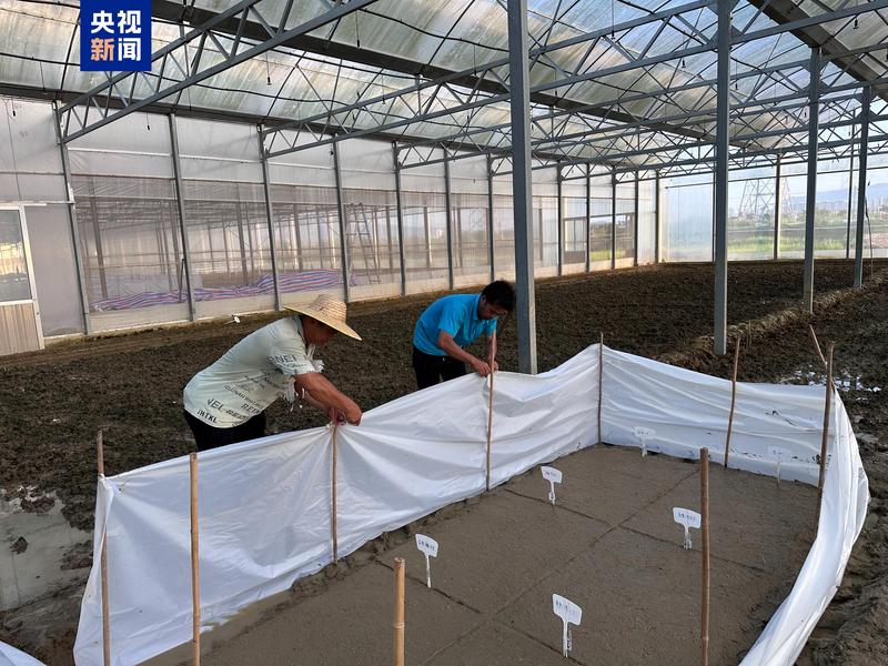 丹麦星际种子·科技与未来的奇妙旅程