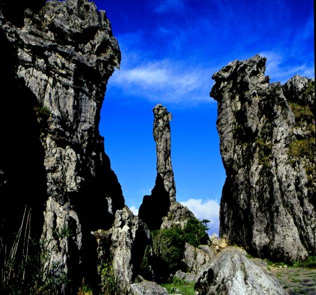 神农架黑龙荒芜｜地球生命最后的倒计时？