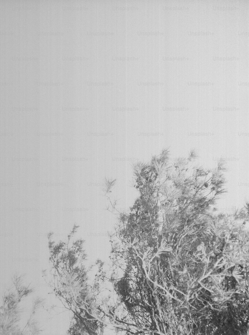 掌上娇的第二个世界—寻找与被寻找