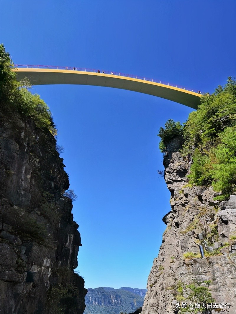 神农架地龙翻身丨地下“风暴”预警，蚯蚓为何比气象台还准？