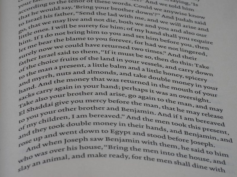 沙海里的蓝眼睛…