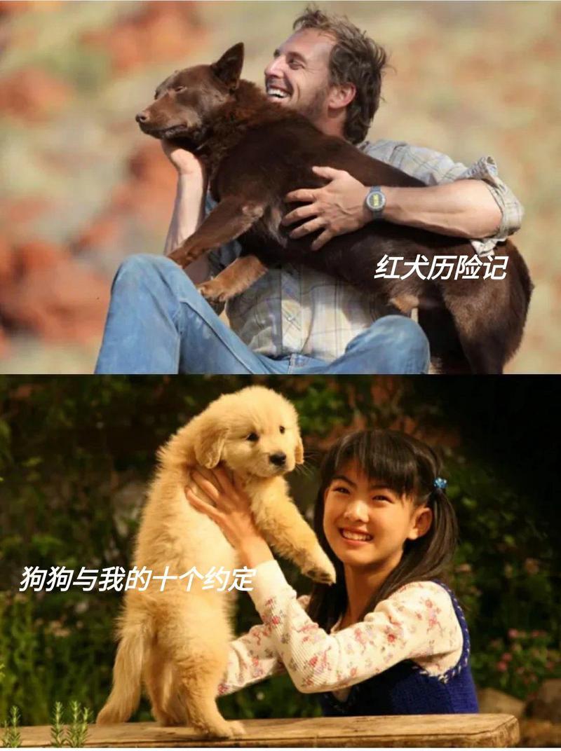 镜头下的秘密|狗仔队的秘密日记 镜头下的秘密|狗仔队的秘密日记