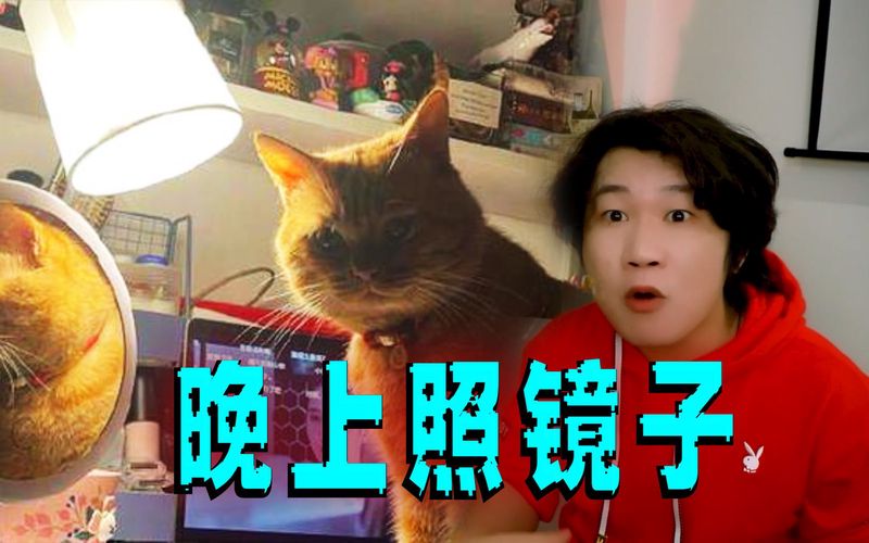 午夜的呼唤丨诡故事的序章