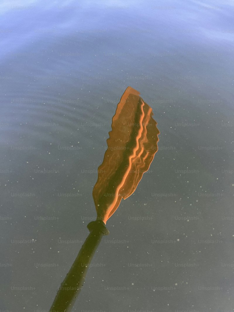 海怪目击盐湖铜盘—一个未解之谜 海怪目击盐湖铜盘—一个未解之谜