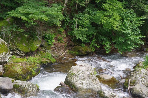 冰川的奇妙秘密丨为什么它们被称为