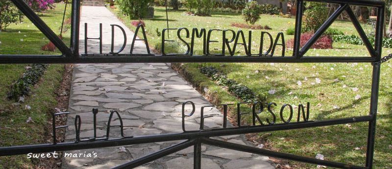 在巴拿马的街头,我遇见了一个“混血”的家族! 在巴拿马的街头,我遇见了一个“混血”的家族!