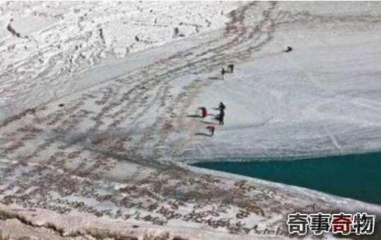 西方未解巨龟｜那些被历史遗忘的庞然大物