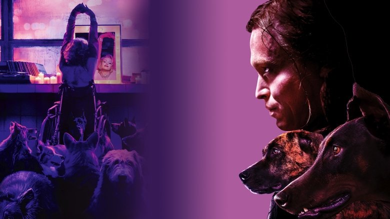 你以为的占卜,其实是个“沼泽犬神”在捣乱? 你以为的占卜,其实是个“沼泽犬神”在捣乱?