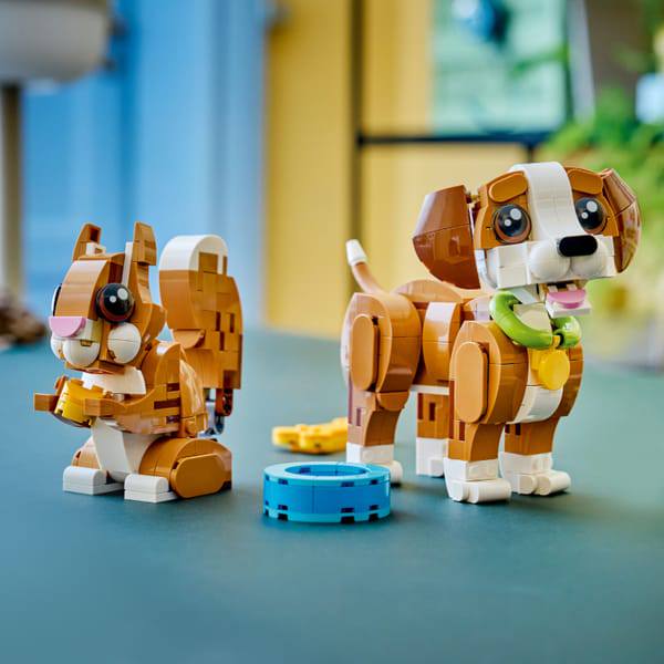 雨夜的狗耳少女