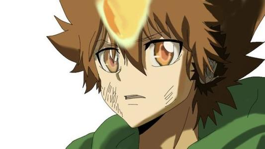 双生之影—泽田纲吉的双重奏 双生之影—泽田纲吉的双重奏