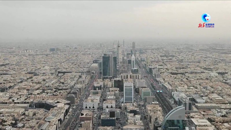 穿越千年的神秘生物—中东狮鹫之谜