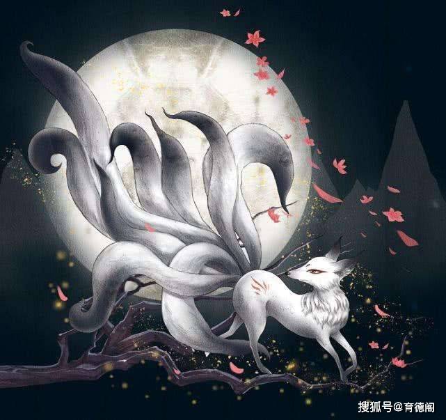 北美迷宫九尾狐?这其实是大自然的“迷宫实验”! 北美迷宫九尾狐?这其实是大自然的“迷宫实验”!