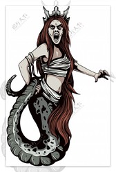 夜行亚马孙蛇妖丨神秘生物背后的生存智慧