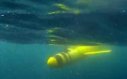 揭示—阿拉伯海的塑料垃圾如何影响你的生活