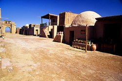 罗布泊的风里，藏着一条没游回大海的鱼？