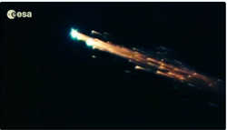 潜入深蓝｜揭秘太平洋天空海龙的奇幻世界