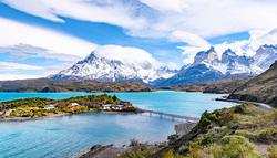 南美冰川树精丨巴塔哥尼亚的神秘香料与极寒生存术