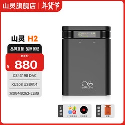 荒漠中的雷电之舞丨当狂风遇见闪电