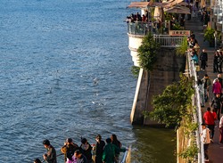 神秘的西伯利亚之谜·鸟群与水下钟的奇妙共鸣