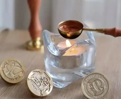 亚马孙雨林的"封印"｜一场关于生存与妥协的博弈