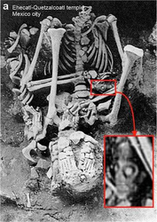 在熔岩洞深处，我摸到了一具会唱歌的骨头…