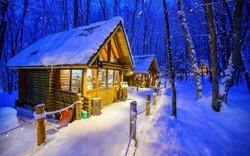 森林深处的秘密通道｜森林精灵航路的神秘之旅