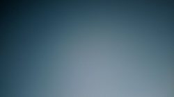 老宅里的百家鬼！