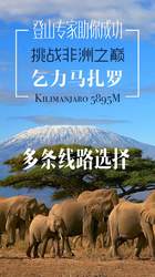 乞力马扎罗航班19丨一场与时间赛跑的生命救援