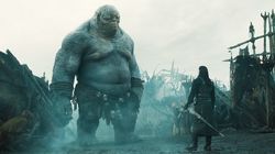 撒哈拉吞噬矮人？揭秘沙漠边缘那个“矮小”的基因奇迹！