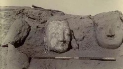 楼兰古迹下的神秘黑雾·未知孢子的秘密