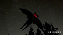 那个诡异的合恩角天蛾人，我亲眼所见！