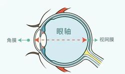 时间回圈烧灼指纹的真相！