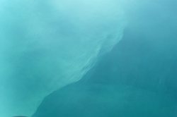 深渊中的“龙”：揭秘神秘的深海生物