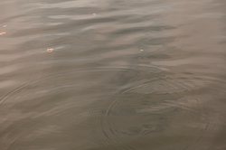 雨鱼航道盲区刻痕圆盘·海洋深处的秘密导航系统