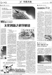 巴哈马奇遇｜揭秘灵魂出窍的神秘之旅