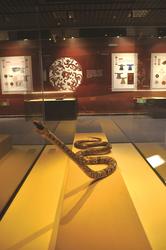 那条红雾蛇，到底是谁的梦魇？