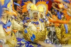 巴西龙族丨神秘的守护者与文化象征