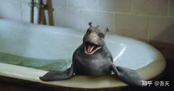 深海之谜·科考站的海怪与水下钟