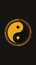 烛影摇红夜话卦｜六爻巷的旧事