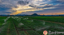 沉入水底的旧时光丨记脚印阵里的那口钟