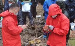 在那片白得刺眼的盐湖，我们集体梦游进了黑匣子？