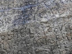 航海南美羽蛇神·神秘的海洋生物探索之旅