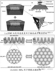 海蚀洞、刻度骨针与无线电静默—一场跨越时空的对话