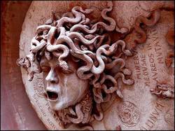 美杜莎的凝视｜西方守护蛇发女妖背后的科学真相与生物学迷思