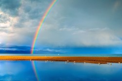 珠峰上的神秘脚印·一场关于地球生物进化的谜题