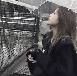 大洋洲沙妖失落的神秘面纱—自然奇观背后的科学真相