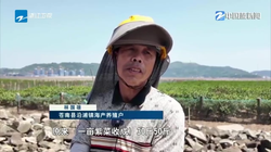 失效罗盘亚马孙雨林红绳结：一场寻找与迷失的旅程